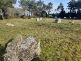 Au bonheur des dames