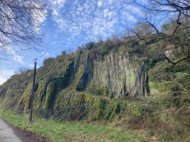 le dragon de l'Etang de La Forge