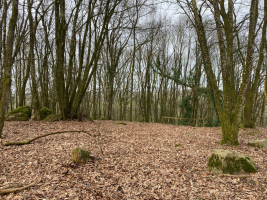 La Roche au Diable