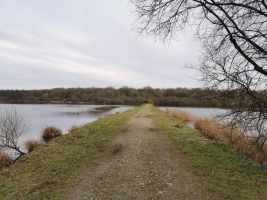 Epidanl'bec à l'Etang de Boulet