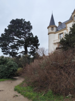 La perle de Cancale