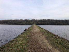 Epidanl'bec à l'Etang de Boulet