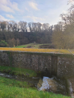 Epidanl'bec à l'Etang de Boulet