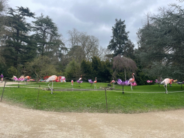 Voyage autour du monde à Rennes