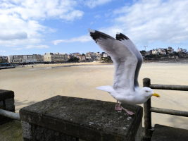 Dinard, So Chic