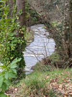 Saint-Brice, entre bocage et histoire