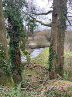 Saint-Brice, entre bocage et histoire