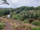 Dans les landes de la chambre au loup