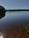 Les berges de l'étang de Paimpont