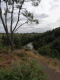 Dans les landes de la chambre au loup