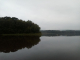 Les berges de l'étang de Paimpont